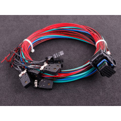 Cablagem MaxxECU RACE 2 (EGT, E-Throttle, extra)
