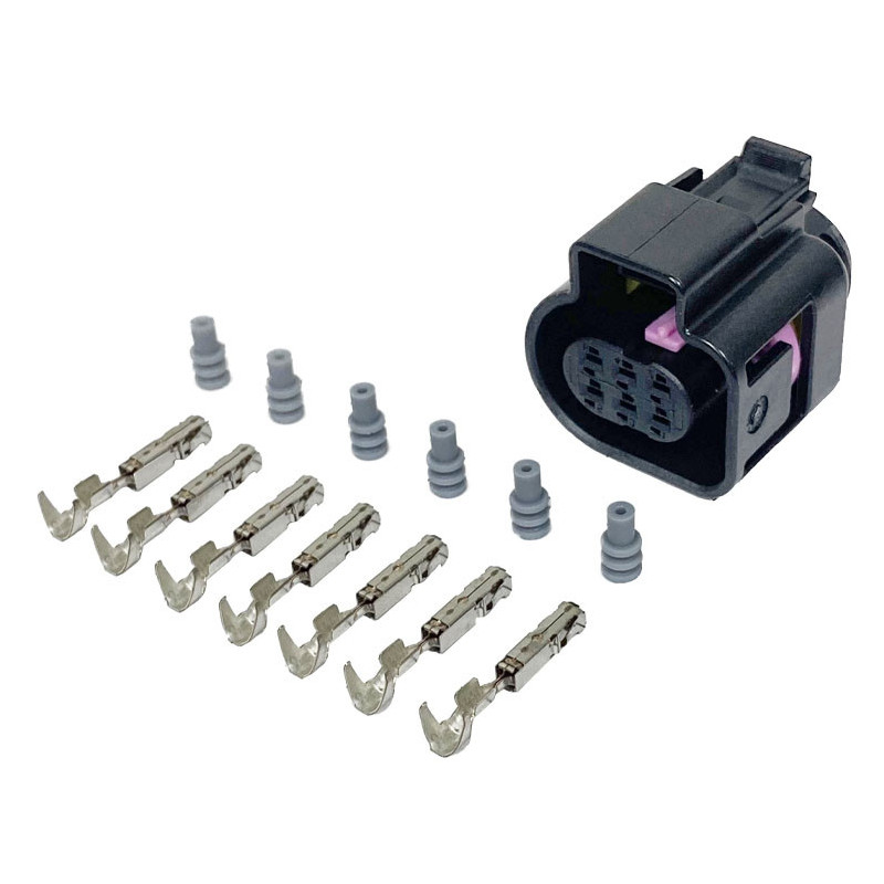 Ficha e pinos Sonda LSU 4.9