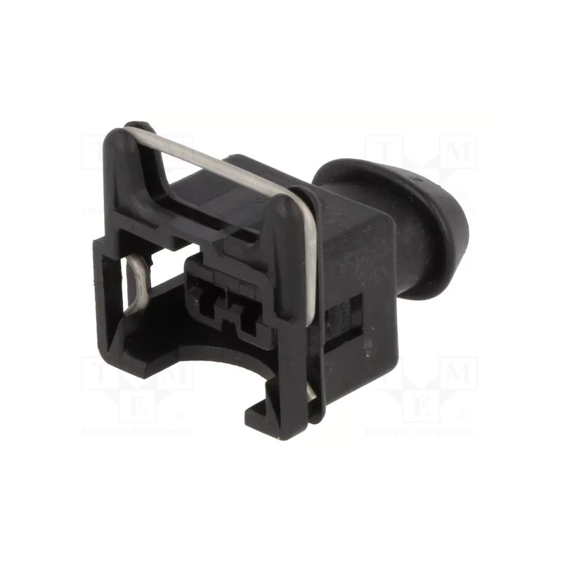 Bosch EV1 2 pins Plug