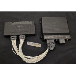 Adaptador Plug and Play M54 para MaxxECU