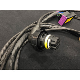 Cablagem 8HP para CanTCU Plug and Play BMW