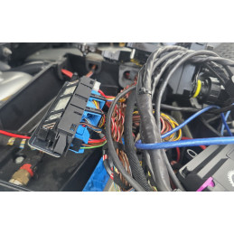 Cablagem 8HP para CanTCU Plug and Play BMW