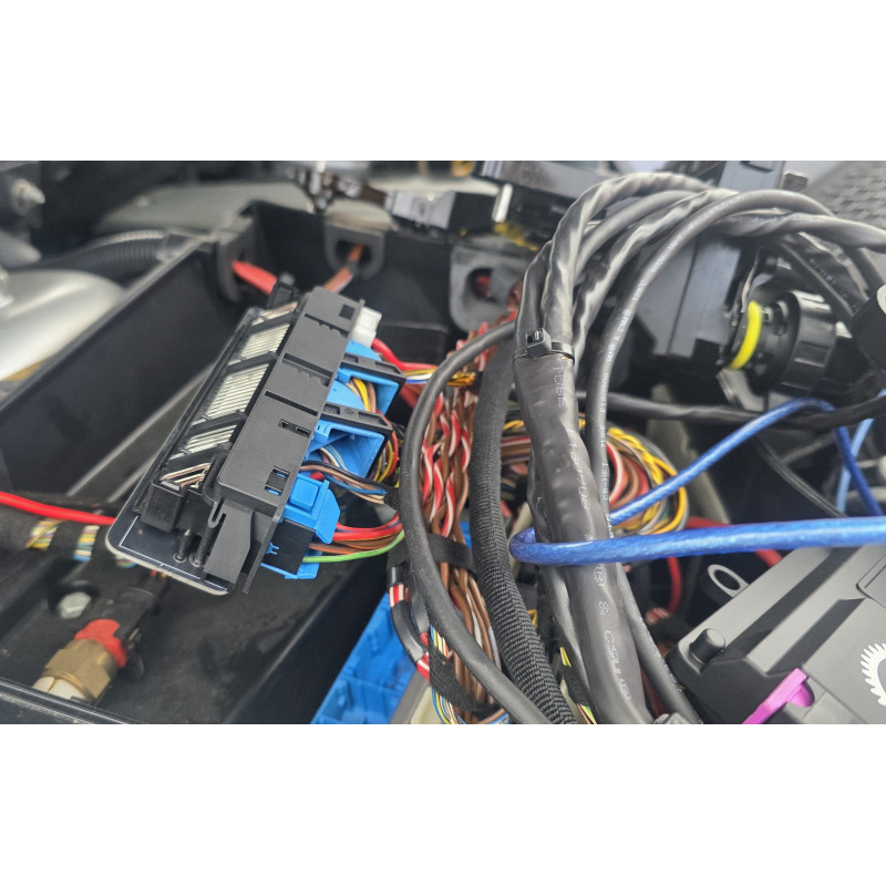 Cablagem 8HP para CanTCU Plug and Play BMW