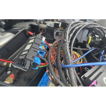 Cablagem 8HP para CanTCU Plug and Play BMW