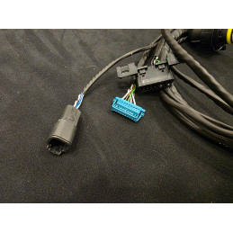 Cópia de Cablagem 8HP para CanTCU