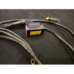 Cópia de Cablagem 8HP para CanTCU